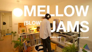 Mellow Slow Soul Funk Vinyl Mix by mingsquall [4K]