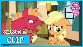 Applejack's Lies (Where The Apple Lies) | MLP: FiM [HD]