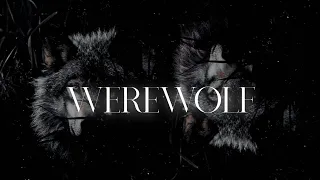 ✧ ˚ 　·  tvd werewolf luminal · 　˚ [ѕʟєєρ νєя.]