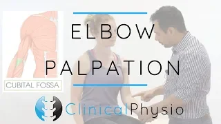 Elbow Palpation | Clinical Physio Premium