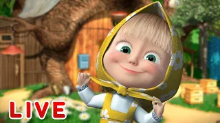 🔴 LIVE STREAM 👱♀️🐻 마샤와 곰 👒👗 소녀에 대하여 👒👗 Masha and the Bear