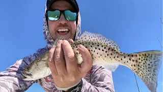 How To Catch Endless Trout On Grass Flats (Without Live Bait)