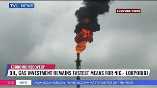 Oil Gas Investment Remains Fastest Means For NIgeria - Heineken Lokpobiri