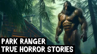 13 TRUE Disturbing Park Ranger Horror Stories Told In The Rain (Dogman,Sasquatch,Wendigo...)