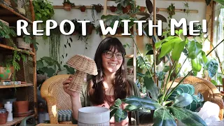 shopping for pottery + repotting a bunch of plants! | repot with me