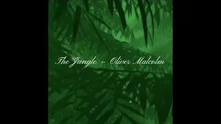 The Jungle - Oliver Malcolm (•ˇ S L O W E D T O P E R F E C T I O N ˇ•)