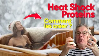 Heat Shock Proteins ou Protéines de Choc : Comment les créer ?