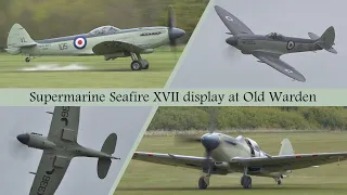 Supermarine Seafire - The Spitfire's naval cousin!