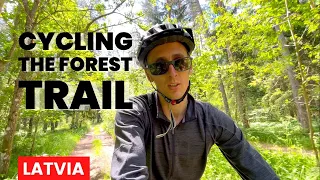 Cycling From Riga to Sigulda (& Cesis) | The Forest Trail