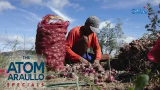 Magsasaka sa Nueva Ecija, sumugal umutang para magkaroon ng puhunan | The Atom Araullo Specials