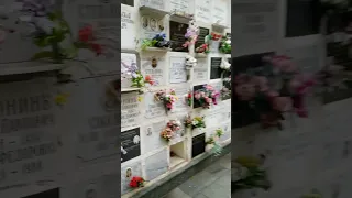 ШОКИРУЮЩЕЕ ВИДЕО СТОИМОСТИ ЯЧЕЙКИ В КОЛУМБАРИИ ДЛЯ ЗАХОРОНЕНИЯ ПРАХА НА ВАГАНЬКОВСКОМ КЛАДБИЩЕ