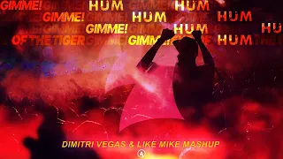 DVLM & Ummet Ozcan vs Survivor vs ABBA - Eye of The Hum vs Gimme! Gimme! Gimme! (DVLM Mashup)