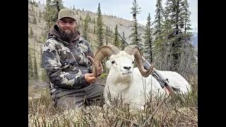 YUKON DALL SHEEP HUNT WITH BLACKSTONE OUTFITTERS