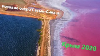 Розовое озеро Сасык-Сиваш, Крым