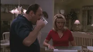 tony soprano argues with his wife vine boom