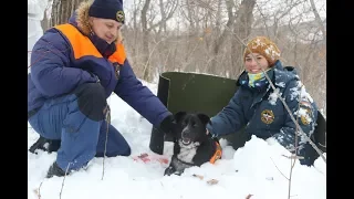 12 03 2018 Тренировка кинологического расчета