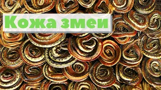 Сумки из кожи змеи | Как это сделано | Snake leather