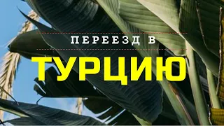 ПЕРЕЕЗД в Турцию: сколько это стоит?! Работа,школы и сады,замужество. Плюсы и минусы. Аланья.