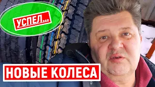 Купил Новые Колеса на hyundai hd 72. Успел