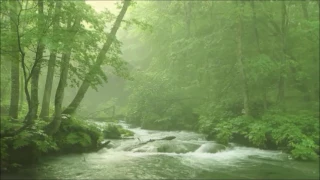 VANESSA DA MATA   -  BANHO DE CHUVA