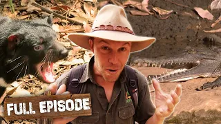 Australia's Most Dangerous Animals!🇦🇺🐍 | The Wild Life Of Tim Faulkner S03E20 | Untamed