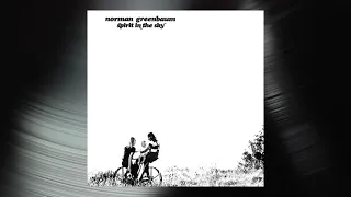 Norman Greenbaum - Skyline (Official Visualizer)