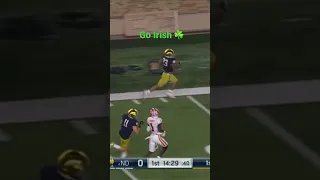 Notre Dame highlight from Clemson Game 2020￼