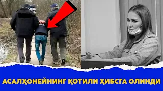 Асалхонейнинг котили хибсга олинди