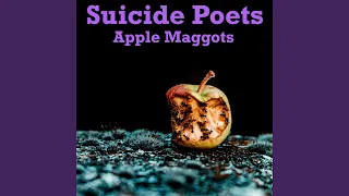 Apple Maggots