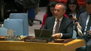 Israeli Settlement Expansion Flagrant Violation of International Law - Security Council Briefing