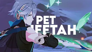 alhaitham | pet cheetah [Genshin Impact]