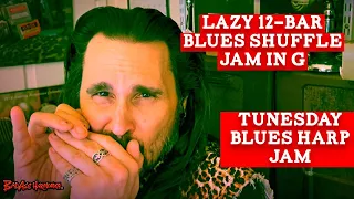 How To Not Suck on a Lazy Tunesday!🎵- Blues Harmonica Jam  - Hohner C Blues Harp Licks  Tunesday 104