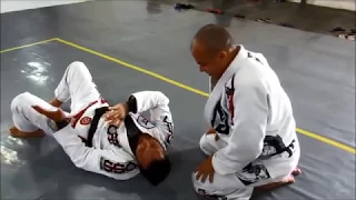 Jiu Jitsu 150 Técnicas Feu Bjj