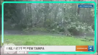 Hail falls over the weekend in parts of Tampa Bay area
