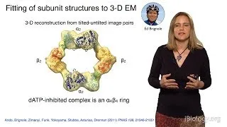 Catherine Drennan (MIT/HHMI) Part 2: Metalloproteins and Medicine