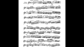 Vivaldi Violin Concerto D major Grosso Mogul  RV208 維瓦第 小提琴 協奏曲 D大調 RV 208 Score Sheet 譜 樂譜 谱 【Kero】