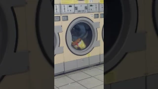 Spongebob in the dryer😂