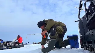 ВЕСЬ ДЕНЬ ЖДАЛИ ЭТОЙ РАЗДАЧИ! А ВЕЧЕРОМ БЫЛ ХАПОК! РЫБАЛКА НА СУДАКА ВЕСНОЙ!#рыбалка