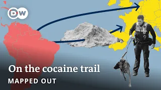 How crime in Ecuador is fueled by Europe's cocaine problem | Mapped Out