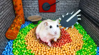 🌈 Rainbow Maze Saw Blade 🐹 Hamster Escapes the Rainbow Maze [OBSTACLE COURSE] 😱 Hamster Sophie #45