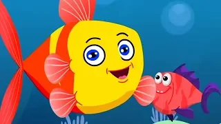 मछली जल की रानी है | Machli Jal Ki Rani Hai | Hindi Balgeet | Rhymes in Hindi | Hindi Kids Rhymes