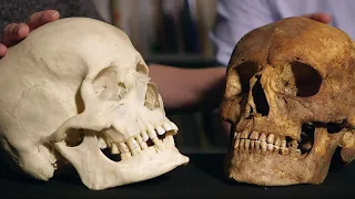 3D Printing a Human Skull | Secrets of Bones | BBC Earth