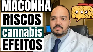 FUMAR MACONHA E OS RISCOS DE USO RECREATIVO DA DROGA