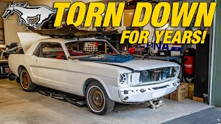 Will an ABANDONED Mustang Project Run After YEARS of Sitting?