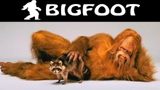 САМЫЙ ОПАСНЫЙ БИГФУТ  ► BIGFOOT ОБНОВЛЕНИЕ