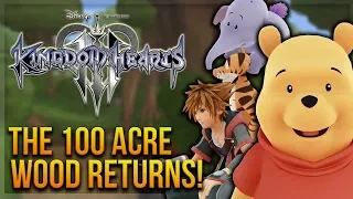 Kingdom Hearts 3 - The 100 Acre Wood Returns! (Story Discussion, World and Mini-Games)