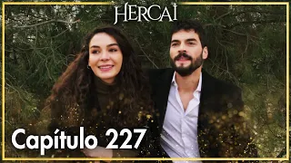 Hercai - Capítulo 227