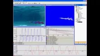 Swim Analysis - Biomechanics of Swimming - 2D in Simi Motion