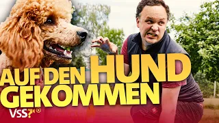 Hunde-Erziehung mal anders: Wenn Hundebesitzer eins werden mit ihrem Hund | Verstehen Sie Spaß?