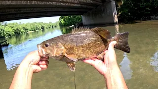 BIG Musky Surprise While Smallmouth Bass Fishing.